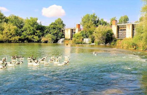 Casa Rural Don Alonso - Foto 40