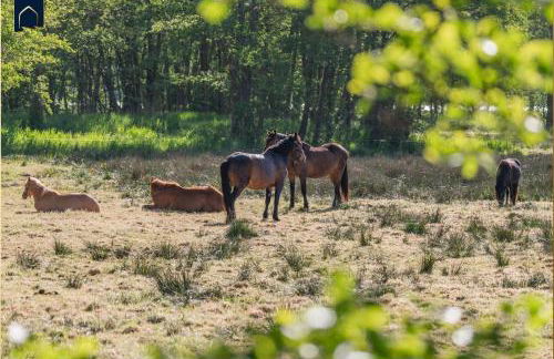 Green Village Igelnest - Foto 34