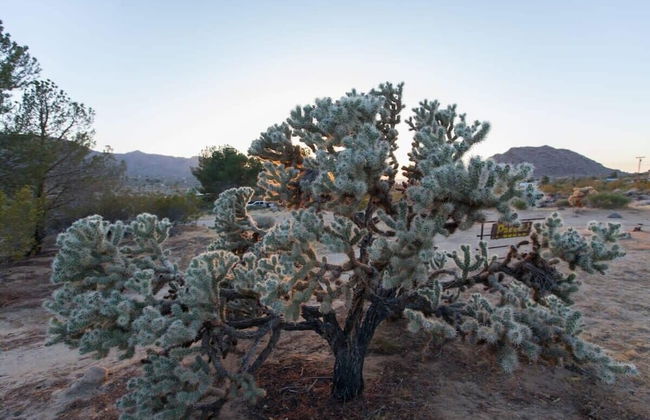 @ Marbella Lane - 10 Acres Oasis Desert Retreat! - Foto 36