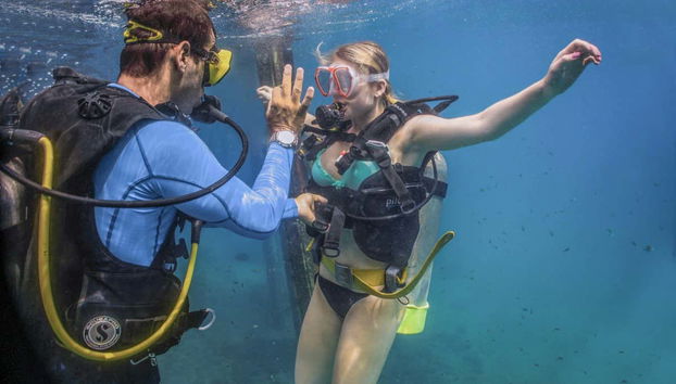 Las Caletas Scuba Diving Introduction - Foto 3