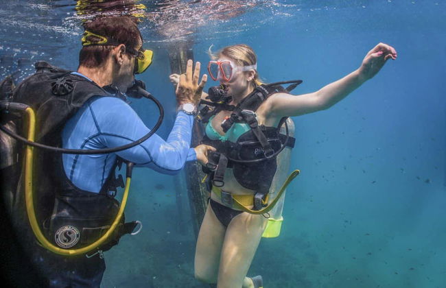 Las Caletas Scuba Diving Introduction - Foto 3