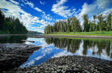 Blue Heron Sanctuary & Serene, river-front cottage - Foto 63