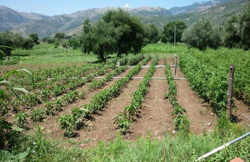 Agriturismo La Locanda Del Parco - Foto 37