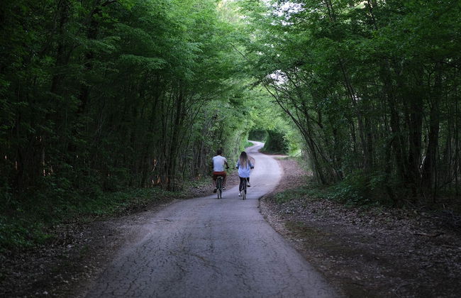 Villa PORTUM - Where Serenity & Comfort meet, Luxurious Woodland Retreat with Private Heated Pool & Amenities - Foto 30