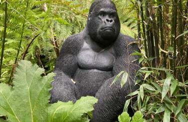 Jungle Cabin - Foto 1