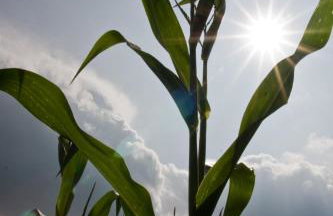 Agroturystyka Sominy - Foto 34