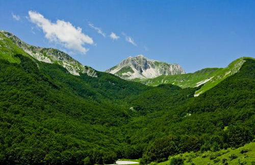 Dimora del Capriolo - Foto 27