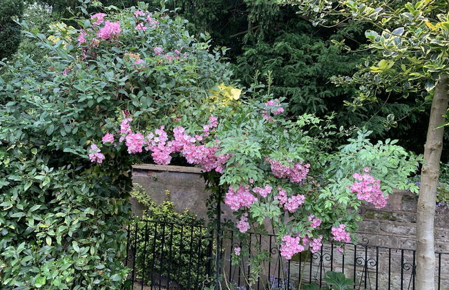 Stylish Central House Next To Warwick Castle - Foto 25