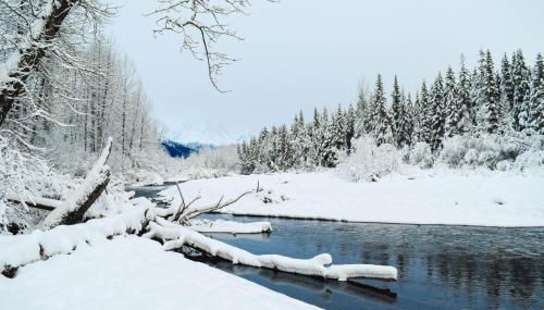 Snowbird Chalet #5 - Foto 4