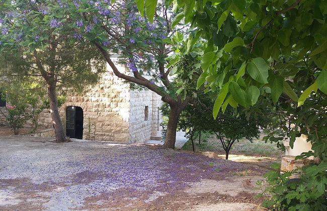 Beit Kfoun - Foto 17