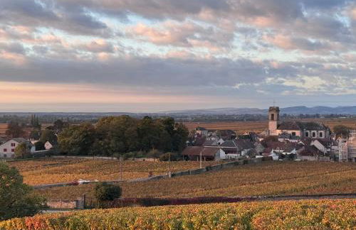 Escapade à Pommard - Foto 29