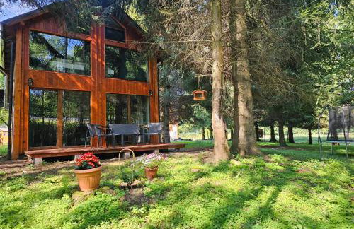 Nad Potokiem z Alpakami - Foto 19