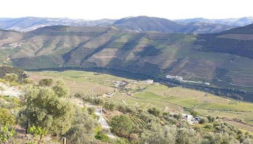 Casa Rodrigues - Foto 5