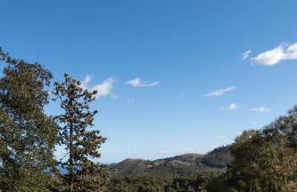 La Casa Nell Oliveto a San Martino - CM - Foto 24