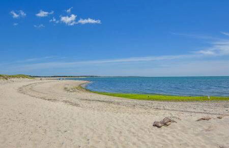 Bring your pups to Chatham Direct access to the Cape Cod Rail Trail - Foto 39