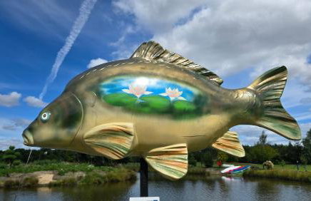 Willa Skrzatusz - Foto 61