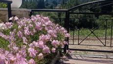 Summer breeze apartment - Foto 2