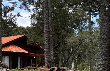 Pousada Maçã Araucária - Foto 9