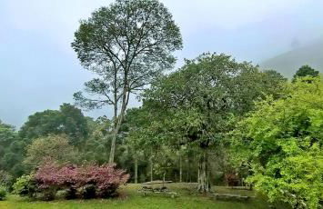 Pousada Sitio Gan Eden - Foto 59