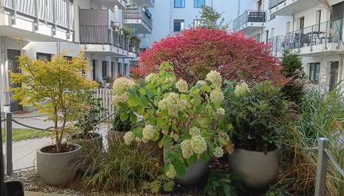 Stadtmitte - Foto 4, Garden view