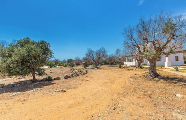 3621 Tenuta Terra del Sole by Perle di Puglia - Foto 25