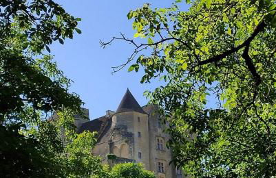 Petite maison en pierre au coeur du Périgord noir proche de Sarlat et Rocamadour - Foto 1