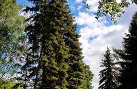 Wola Loft Apartment - Photo 33