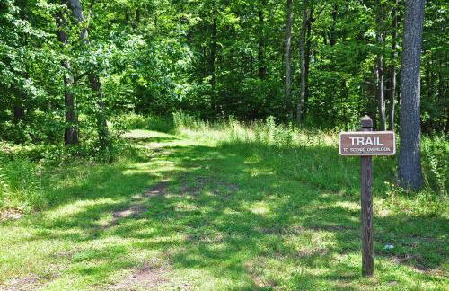 No Black Tie Affair - Foto 68