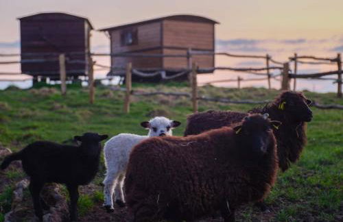 Parc animalier des Clautres - Maison Roulottes Tente - Photo 12