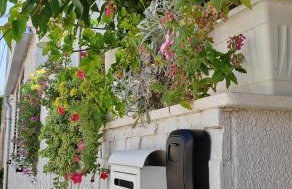 Apartman studio Otium - Photo 18