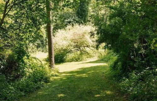 Beautifully Designed 4BR Home Heated Pool HotTub - Foto 12