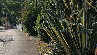 Casa Marinella - Foto 4