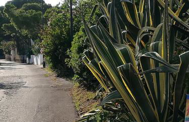 Casa Marinella - Foto 4