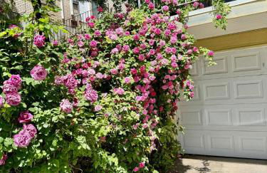 Capitol Retreats-views! Near Salt Palace,sleep 28 - Foto 79