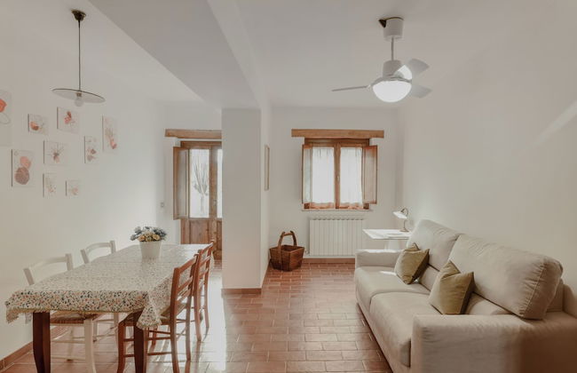 Il Mulino delle Canutole - Foto 36