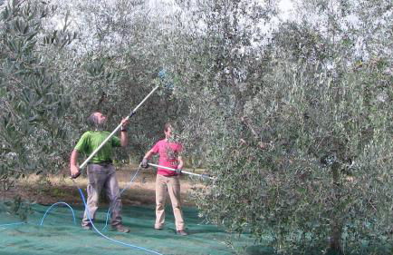 Agriturismo Frallarenza - Foto 55