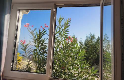 Apartments Chiara mit Meerblick und Pool und Jacuzzi - Foto 11