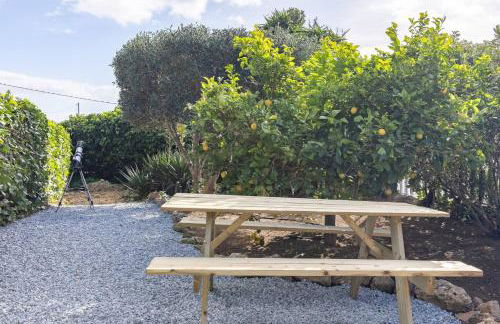 Tiny House Long-term remote work near Valencia - Foto 23