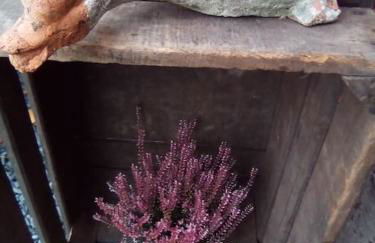 Micro maison ISBA Sedan - Foto 18