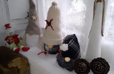 El Rinconin de Degu - Photo 11