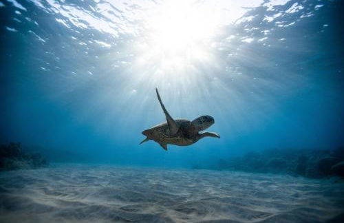 2b 2ba home is situated on a prime corner lot N564 - Foto 35