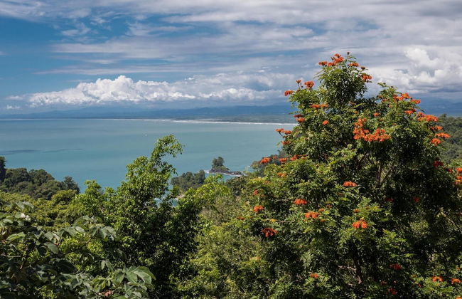 Luxury Ocean View Condo - Ultimate Convenience - Foto 17