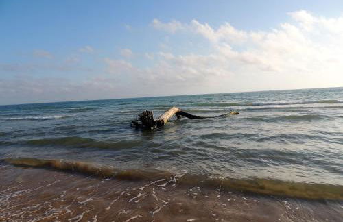 La casa di Lilly - Foto 25