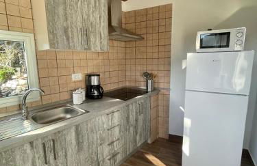 Casa Carlos - Photo 16