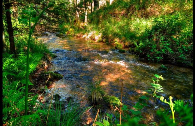 Unusual Hideaway in Lorraine - Photo 33