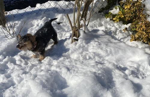 Casa Felicitas Fewo und Studio - Photo 25