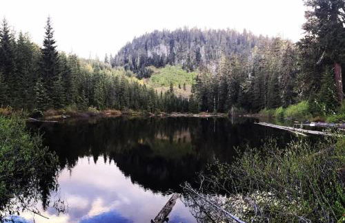 Mountain View Cabin, Hot Tub at White Pass Resort, Mt Rainier - Foto 22