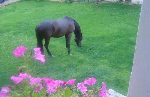 Casa rural en plena naturaleza Lic UVTR1524 - Photo 43