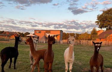 Tiny House Alpakablick - inklusive Alpaka Meet & Greet an bestimmten Terminen - Foto 15