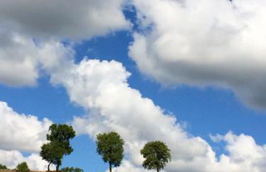 Palazzetto Bentivoglio - Foto 20